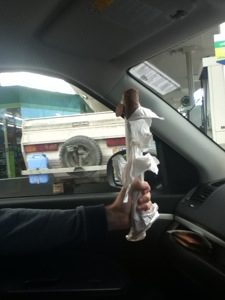 The Fine Art of Frugal