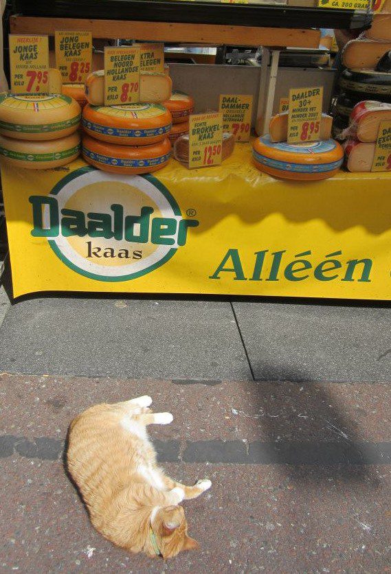 1014001_10153055972460080_1779900769_n