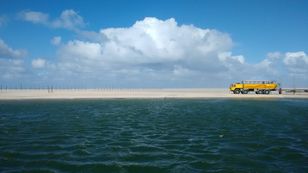 vlietland island texel dutch netherlands