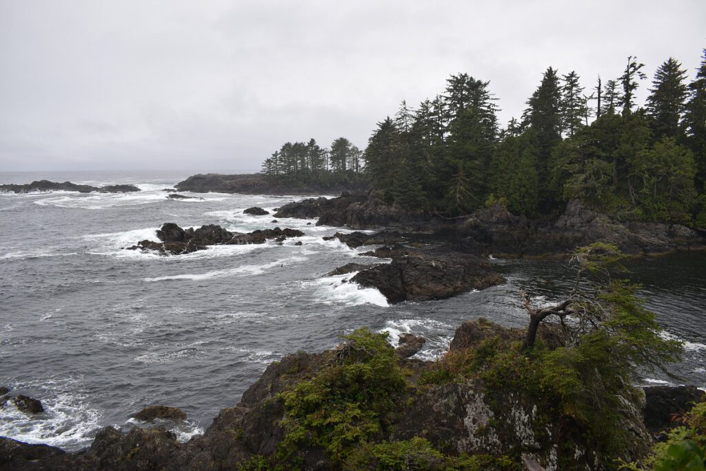 vancouver island covid tofino canada