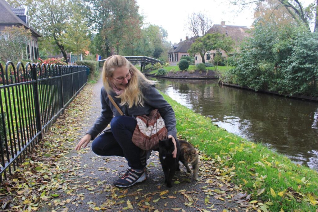 cats in geithoorn