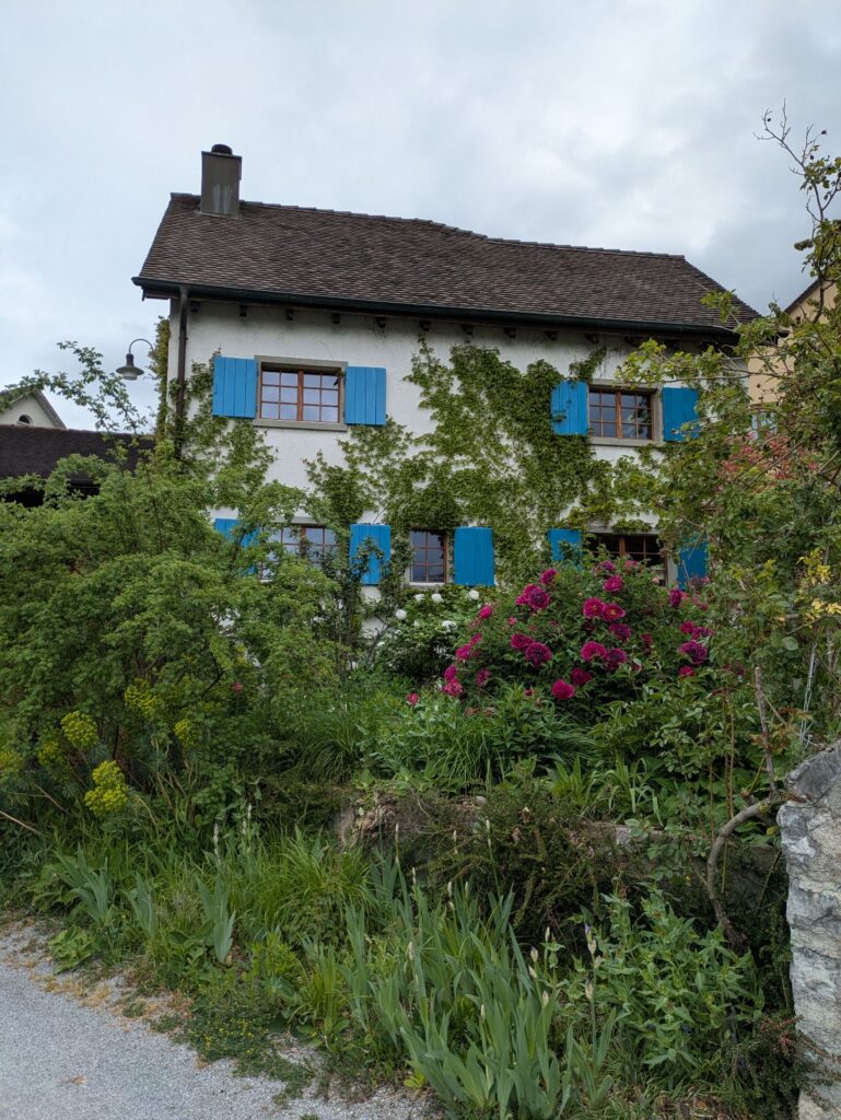 vaduz view liechtenstein