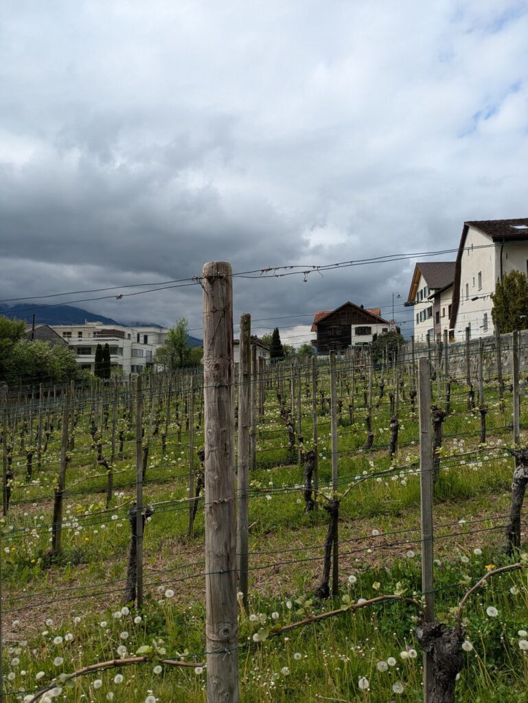 vaduz view liechtenstein