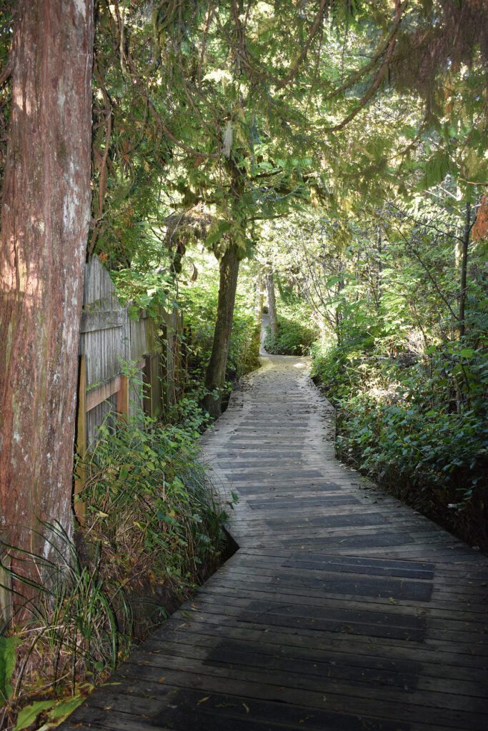 tofino vancouver island canada